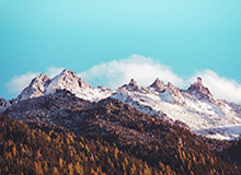 开云：在云端开启自我升级的新纪元